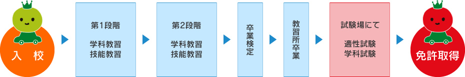 免許取得の流れ