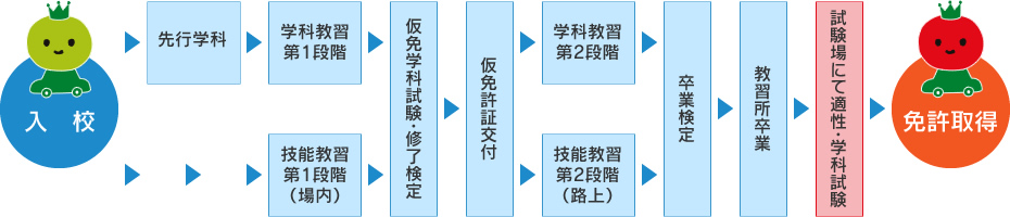 免許取得の流れ